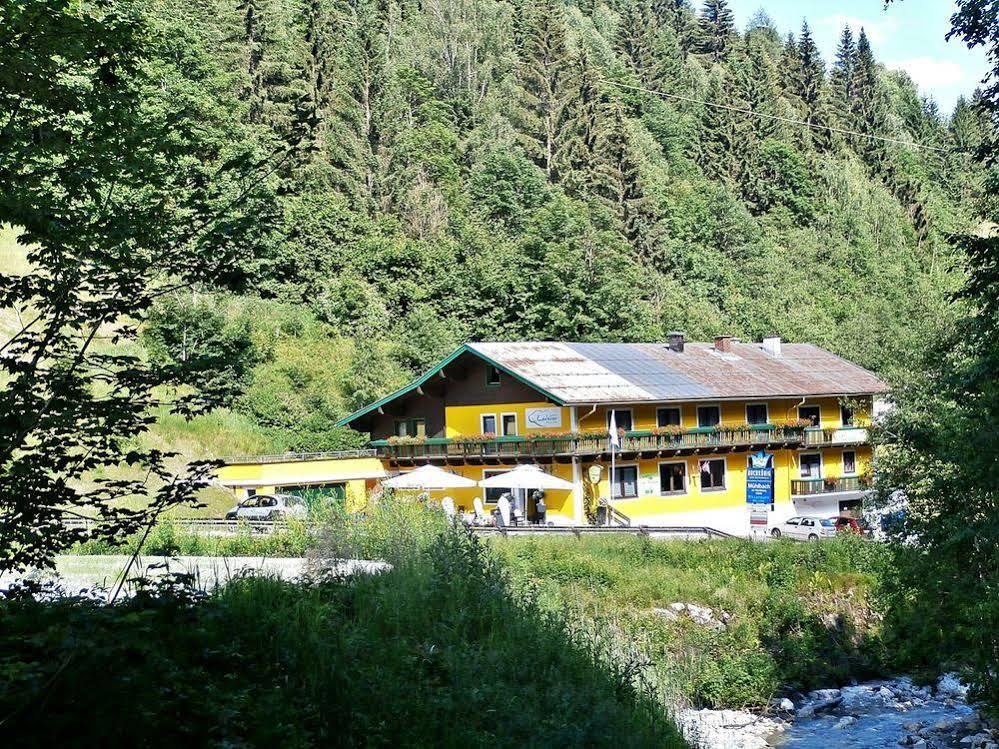 Hotel-Restaurant Bike&Snow Lederer Mühlbach am Hochkönig エクステリア 写真